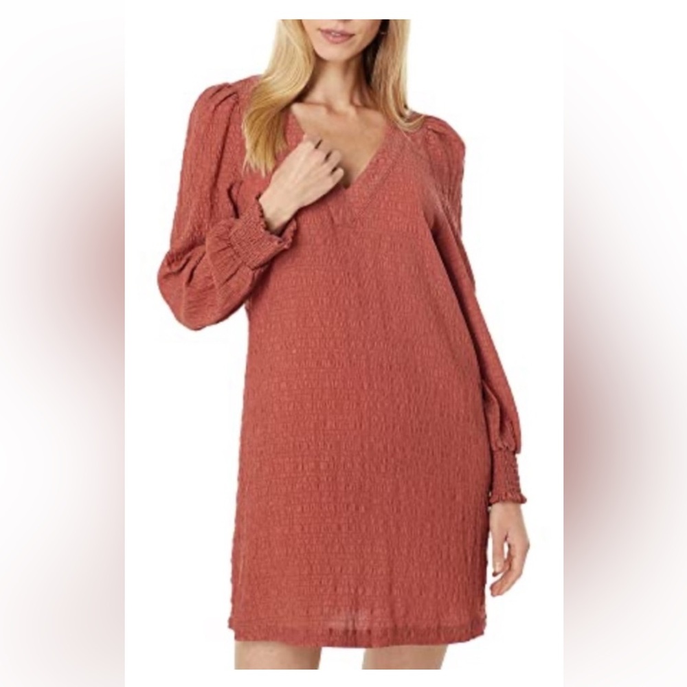 BB Dakota Rust V-Neck Dress